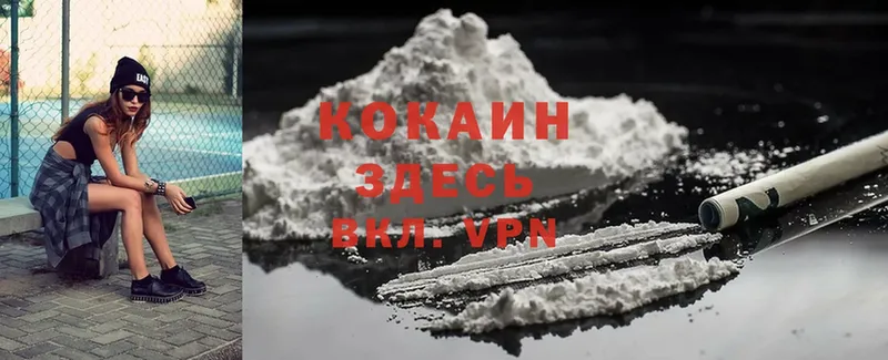 COCAIN Fish Scale  Осташков 